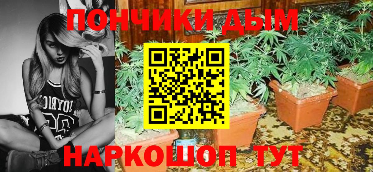 Саяногорск  Каннабис сатива  Марихуана OG Kush  Бошки марихуана Bruce Banner  Вход с VPN 